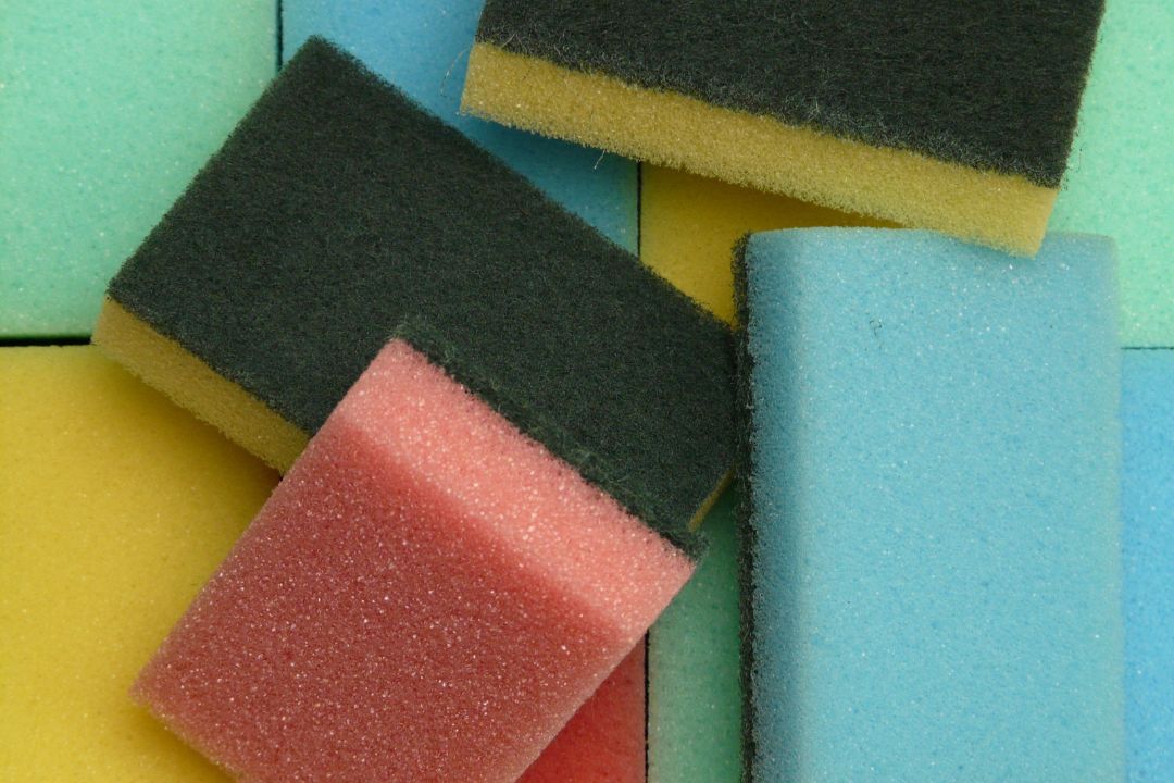 Sponges